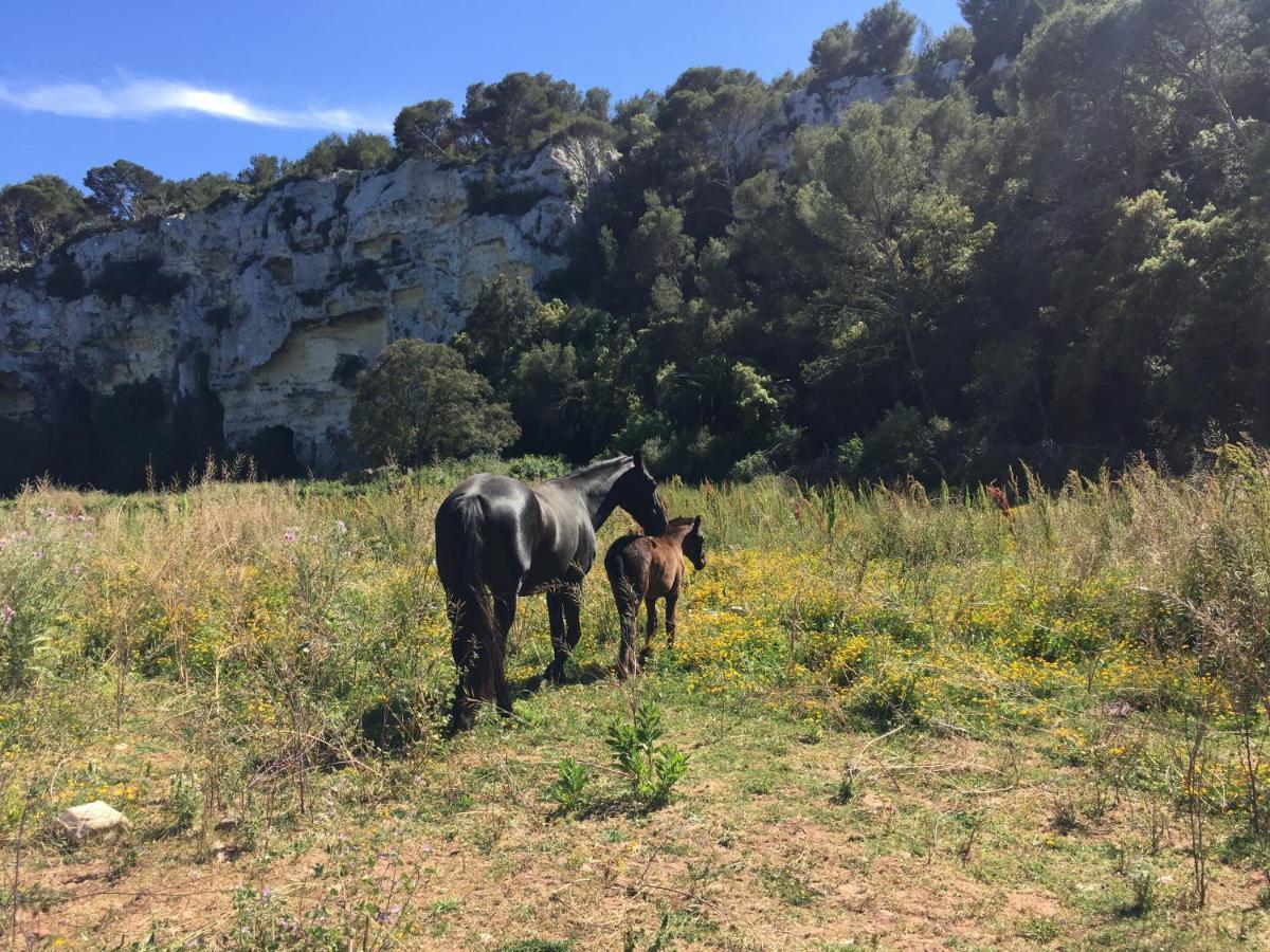 The Desmais Cala Galdana  Dış mekan fotoğraf